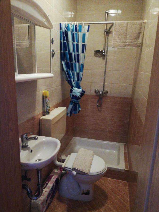 Apartment Ivo